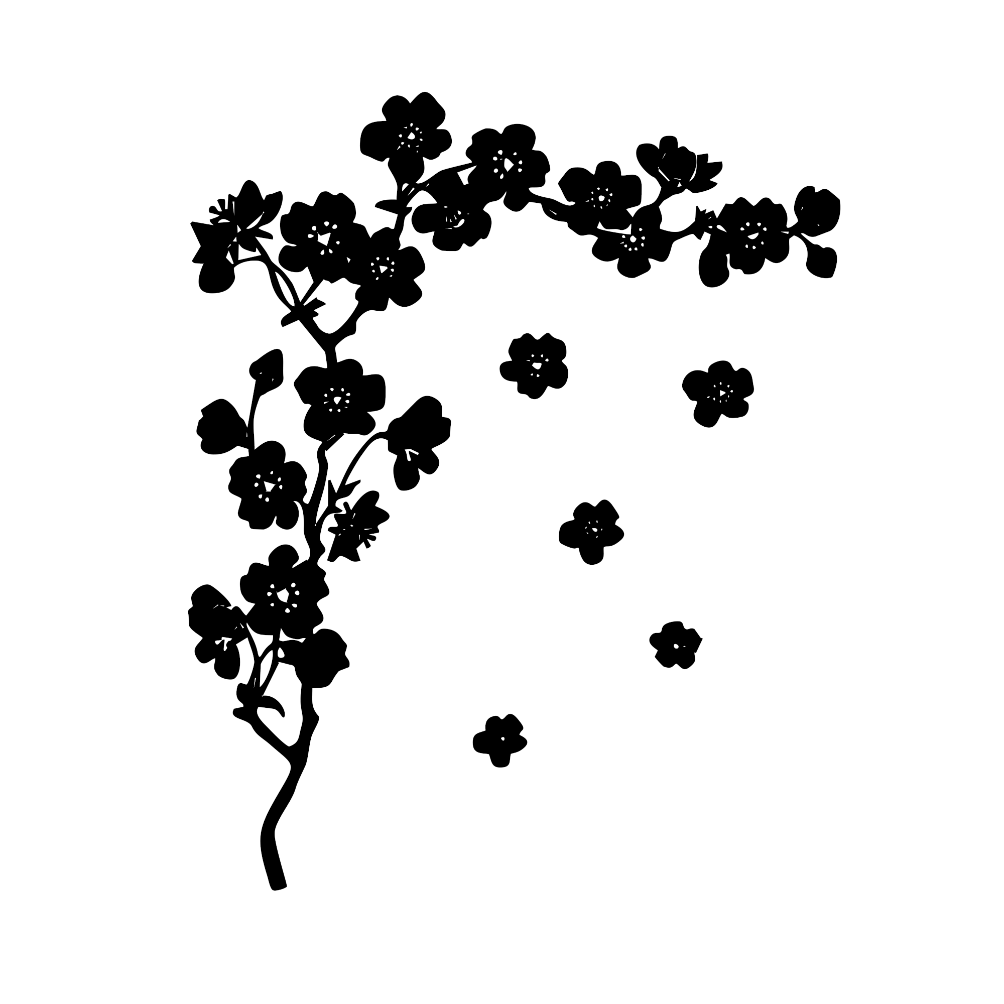 Kirschblüte Silhouette